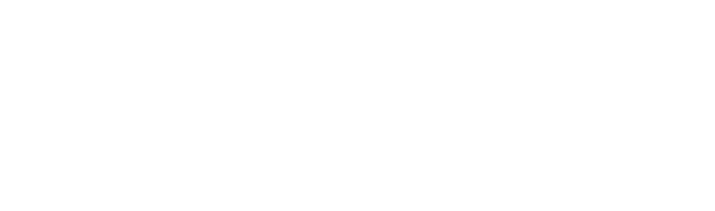 White-DataDay-Logo
